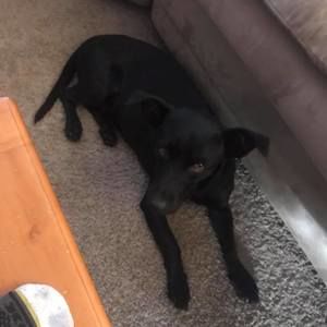 Meet your Posher, Devin